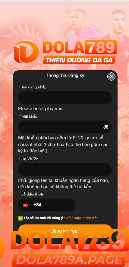 Đăng ký Dola789 - Nhận ngay thưởng chào mừng 100K 3 Lưu Ý Quan Trọng Khi Đăng Ký Dola789